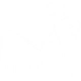 1. Sollevate il coperchio