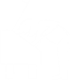 2. Immergete la mano